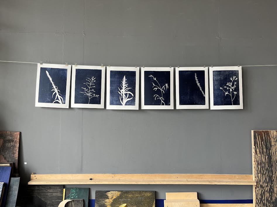 Garden Print Collection of 6 prints