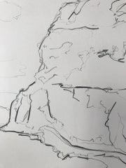 'Mountain Flowers', (2018)