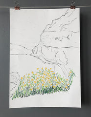 'Mountain Flowers', (2018)